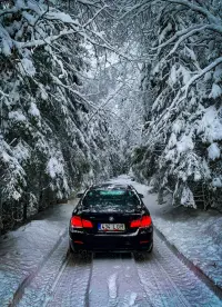 BMW 525 2.0 160kW thumbnail