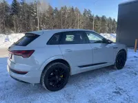 Audi e-tron 55 0.0 158kW thumbnail